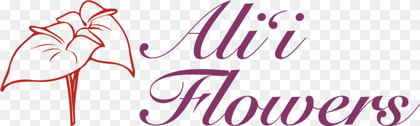 Calligraphy, Text PNG