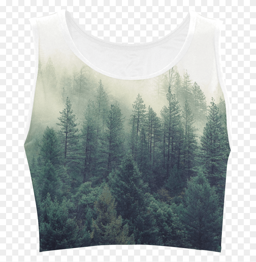 688x801 Calming Green Nature Forest Scene Misty Foggy Women39s Blouse, Tree, Plant, Clothing HD PNG Download