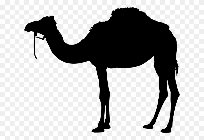 640x518 Camel Animal Silhouette Back Black Desert Design Camel, Gray, World Of Warcraft HD PNG Download