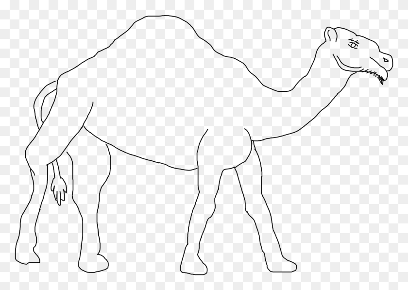 1456x1003 Верблюд Аравийский Верблюд, Серый, Мир Варкрафта Png Скачать