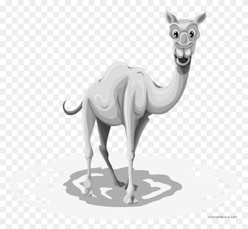 1000x918 Camel Black And White Clipart Arabian Camel, Antelope, Wildlife, Mammal HD PNG Download
