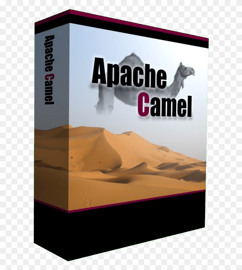 610x877 Camel Box Apache Camel, Soil, Nature, Outdoors HD PNG Download