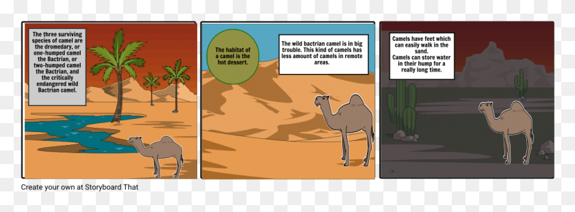 1145x368 Camel Cartoon, Antelope, Wildlife, Mammal HD PNG Download
