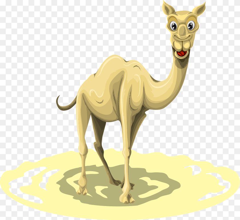 Camel Animal, Mammal, Kangaroo Clipart PNG