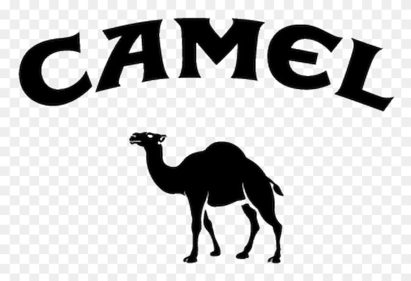 778x515 Camel Logo Decal Camel Cigarettes Logo 2018, Animal, Mammal, Antelope HD PNG Download