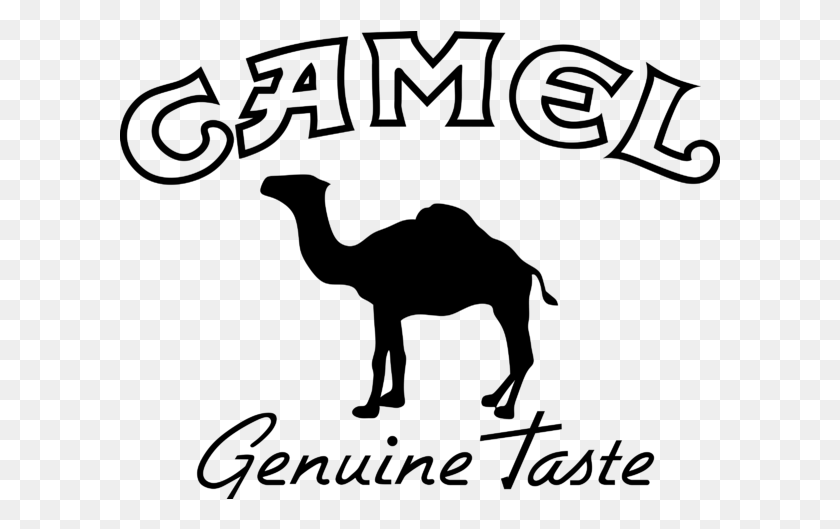 601x469 Camel Logo Vector, Gray, World Of Warcraft HD PNG Download