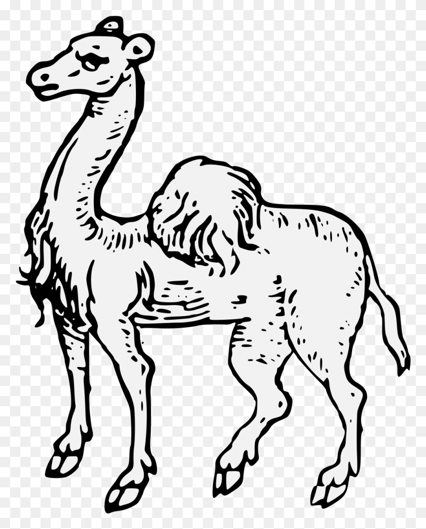 996x1254 Camel Statant Heraldic Camel, Animal, Mammal HD PNG Download