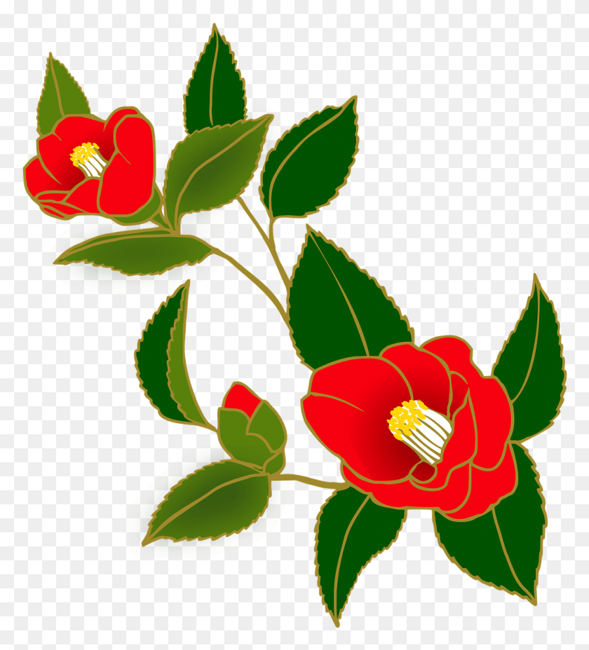 1067x1188 Camellia Red Flowers Image Camellia, Plant, Flower, Blossom HD PNG Download