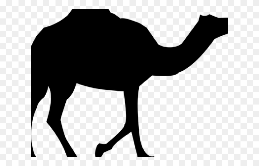 640x480 Camels Clipart Camel Safari Arabian Camel, Gray, World Of Warcraft HD PNG Download