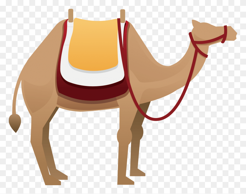 1818x1401 Camels Clipart Horse, Camel, Mammal, Animal HD PNG Download