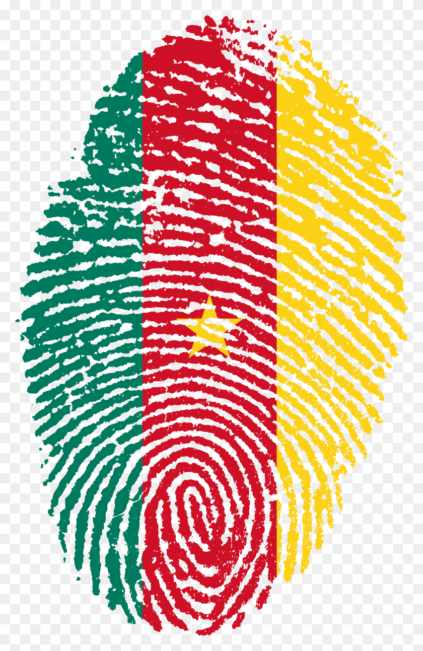1573x2488 Флаг Камеруна Отпечаток Пальца Страны 653166 Отпечаток Флага Гвинеи, Ковер, Узор Hd Png Скачать