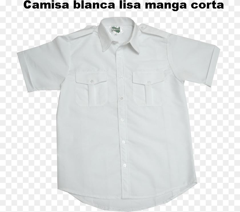 726x742 Camisa Blanca Lisa M Camisa Blanca Manga Corta, Clothing, Shirt, Sleeve, Dress Shirt Sticker PNG