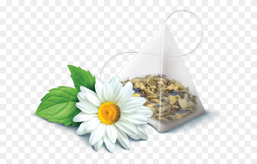 660x476 Camomile Flower Free Transparent Images Free Camomile, Plant, Blossom, Daisy HD PNG Download
