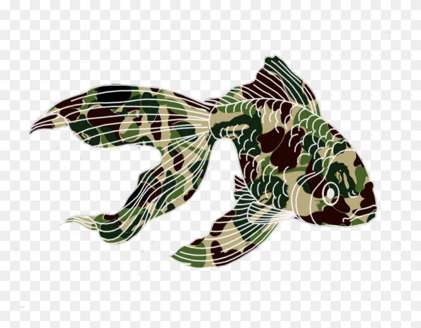 1009x769 Camouflage Fish Goldfish Camouflagefish Koifish Lionfish, Animal, Bird, Perch HD PNG Download
