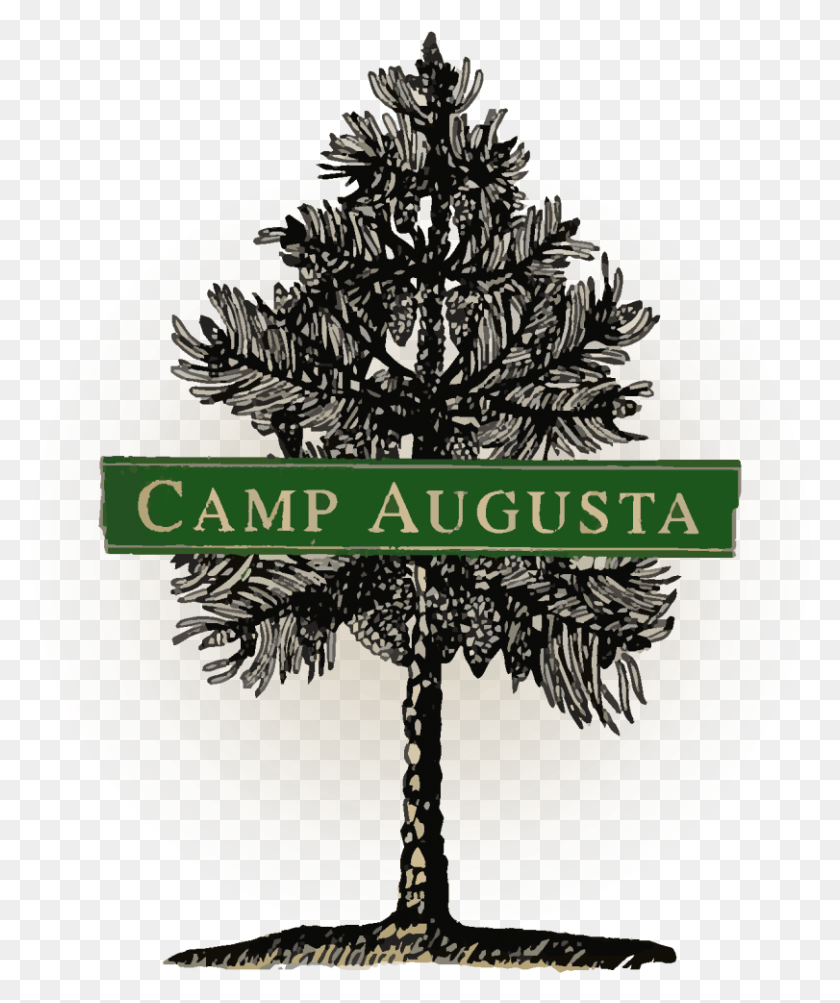811x981 Camp Augusta Logo, Tree, Plant, Ornament HD PNG Download
