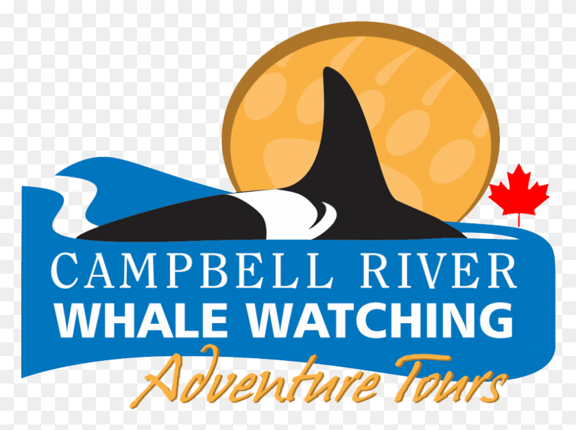 791x577 Descargar Png / Avistamiento De Ballenas Y Tours De Aventura En El Río Campbell