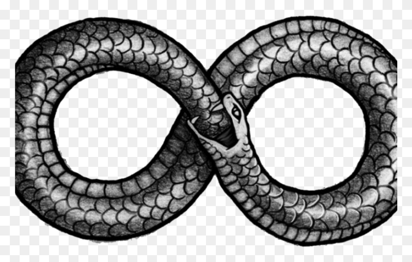 1081x658 Can We Prepare For The Consequences Of Living Potentially Infinity Snake Tattoo, Reptile, Animal, Skin HD PNG Download