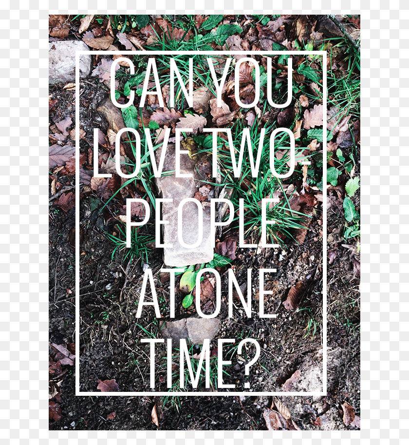 640x853 Descargar Png / Can You Love Two People Poster, Publicidad, Planta, Vegetación Hd Png