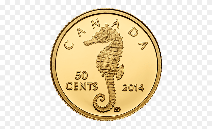 447x453 Canada 2014 Sea Creatures Northern Seahorse, Mammal, Animal, Coin HD PNG Download