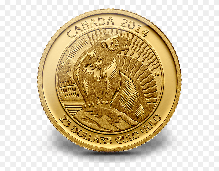 593x596 Золотая Монета 14 Унций, Канада 2014 Росомаха, Деньги, Коврик, Hd Png Скачать