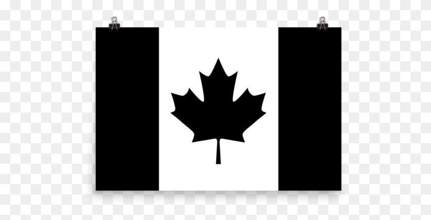 515x370 Флаг Канады Wall Art Флаг Канады, Лист, Растение, Дерево Hd Png Скачать