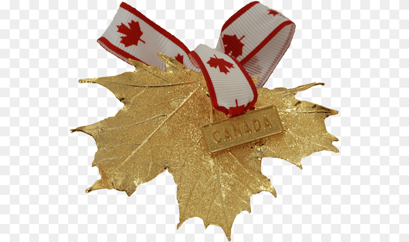 Canada Gold Maple Leaf Ornament Canada Gold, Plant, Tree PNG