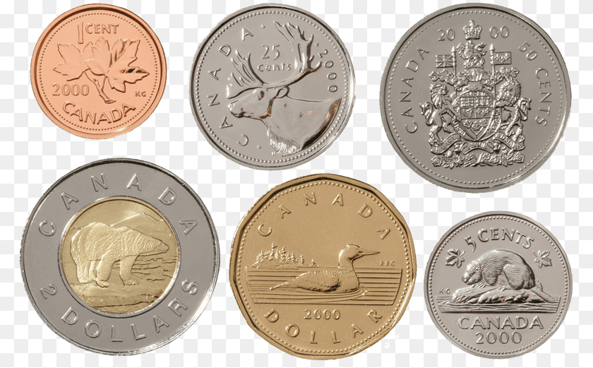 791x521 Canadian Dollar Canadian Money Coins 2017, Wildlife, Animal, Bear, Coin PNG