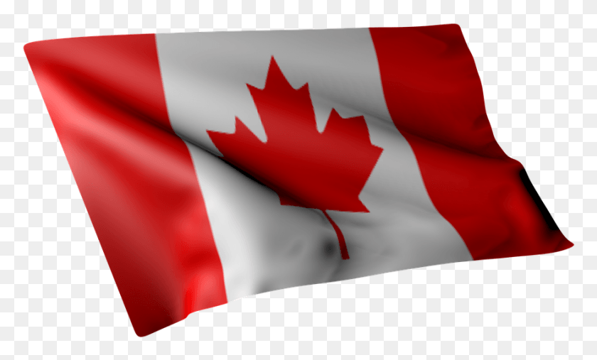 881x505 Канадский Флаг, Символ, Лист, Растение Hd Png Скачать