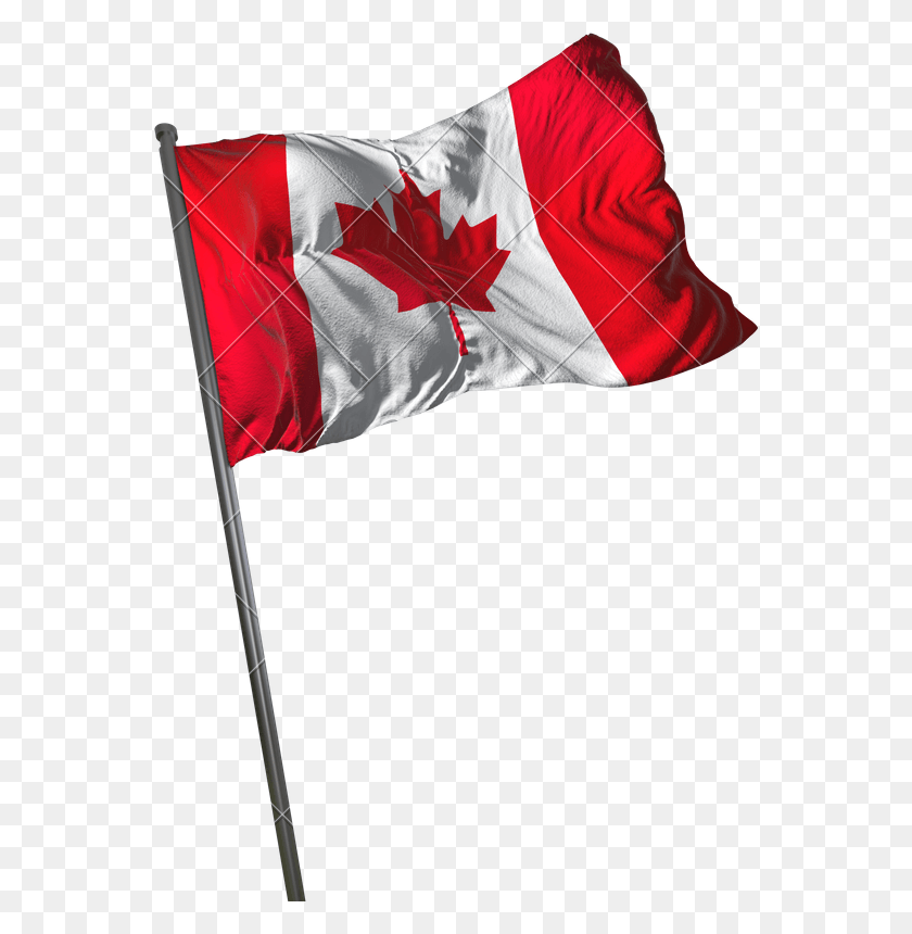 556x800 Canadian Flag Canadian Flag Transparent Background, Symbol, American Flag, Emblem HD PNG Download