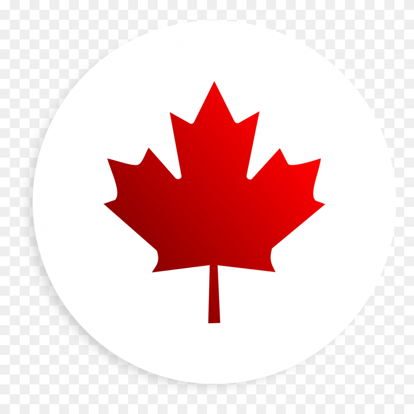 1229x1229 Descargar Png / Solicitud De Visa Canadiense De La Bandera De Canadá, Hoja, Planta, Hoja De Arce Hd Png