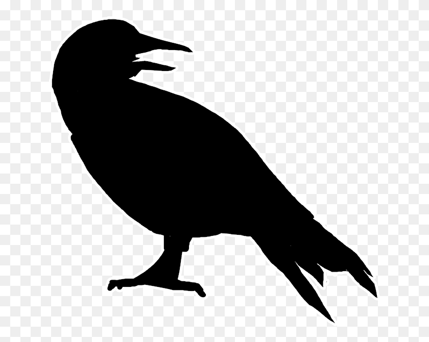 651x610 Canary Silhouette Morrigan Crow Illustrations, Bird, Animal HD PNG Download