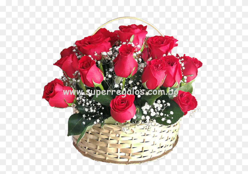 562x530 Canasta De 24 Rosas Hybrid Tea Rose, Plant, Flower Bouquet, Flower Arrangement HD PNG Download