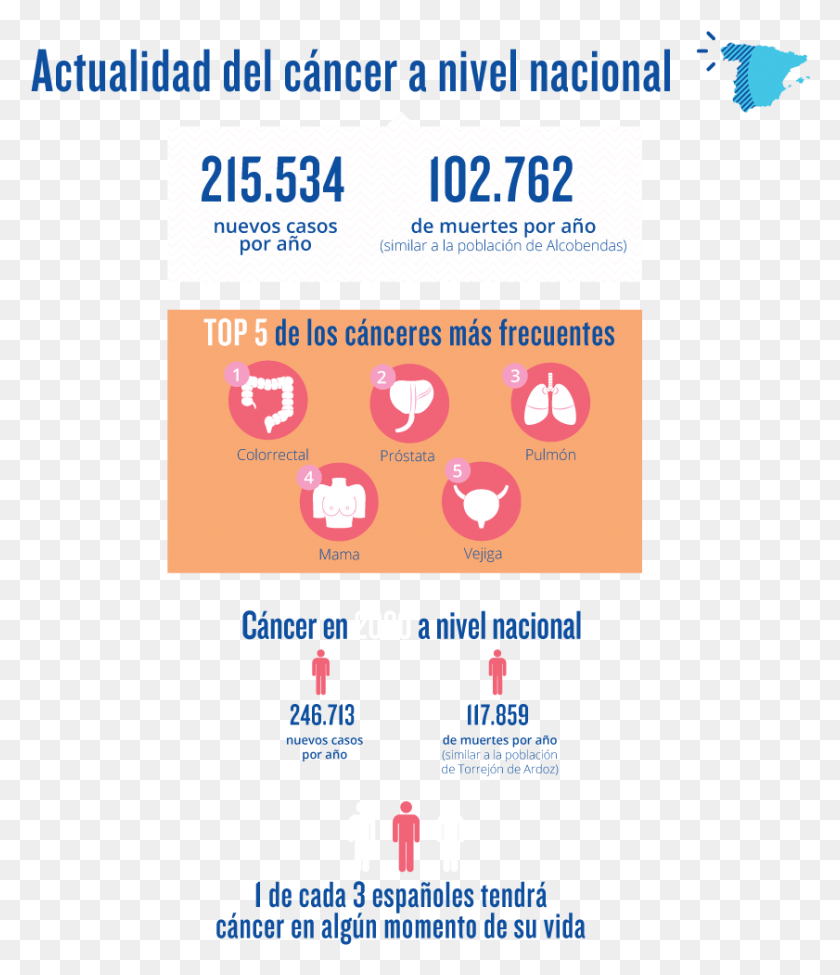841x987 Cancer En La Actualidad, Text, Paper, Advertisement HD PNG Download
