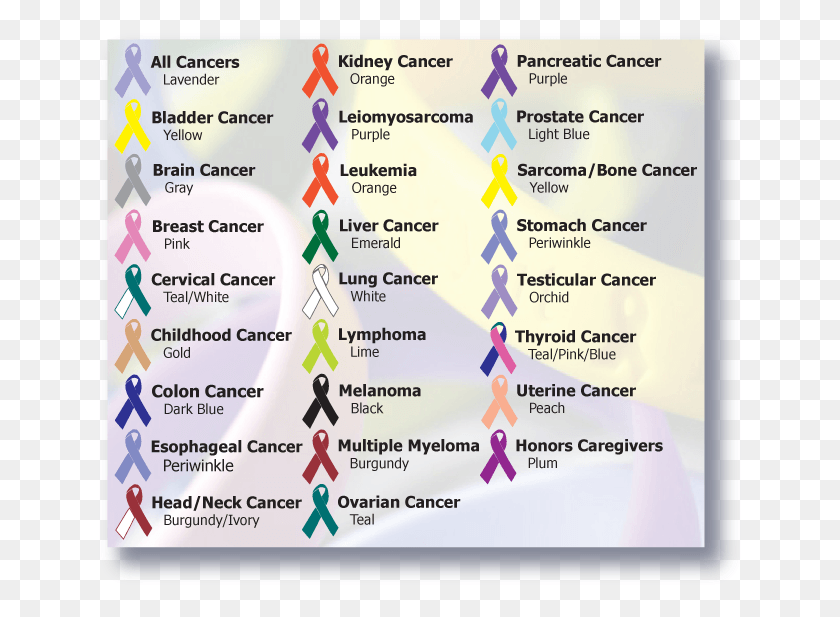 647x557 Cancer Ribbon Template December Cancer Awareness, Menu, Text, Gps HD PNG Download