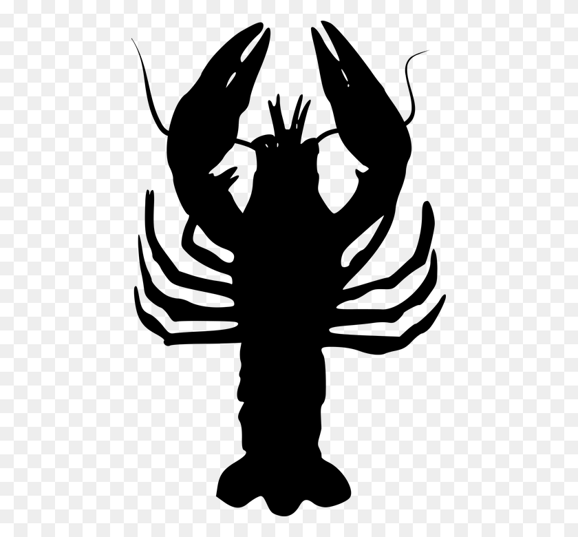 457x720 Cancer Zodiac Lake Horoscope Symbol Crab, Gray, World Of Warcraft HD PNG Download