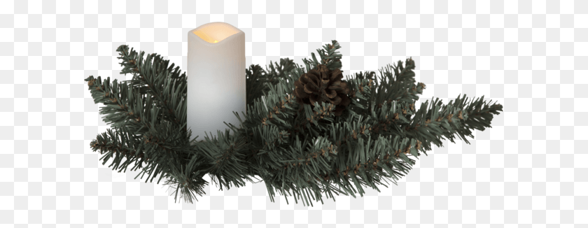 601x266 Candle, Tree, Plant, Pine HD PNG Download