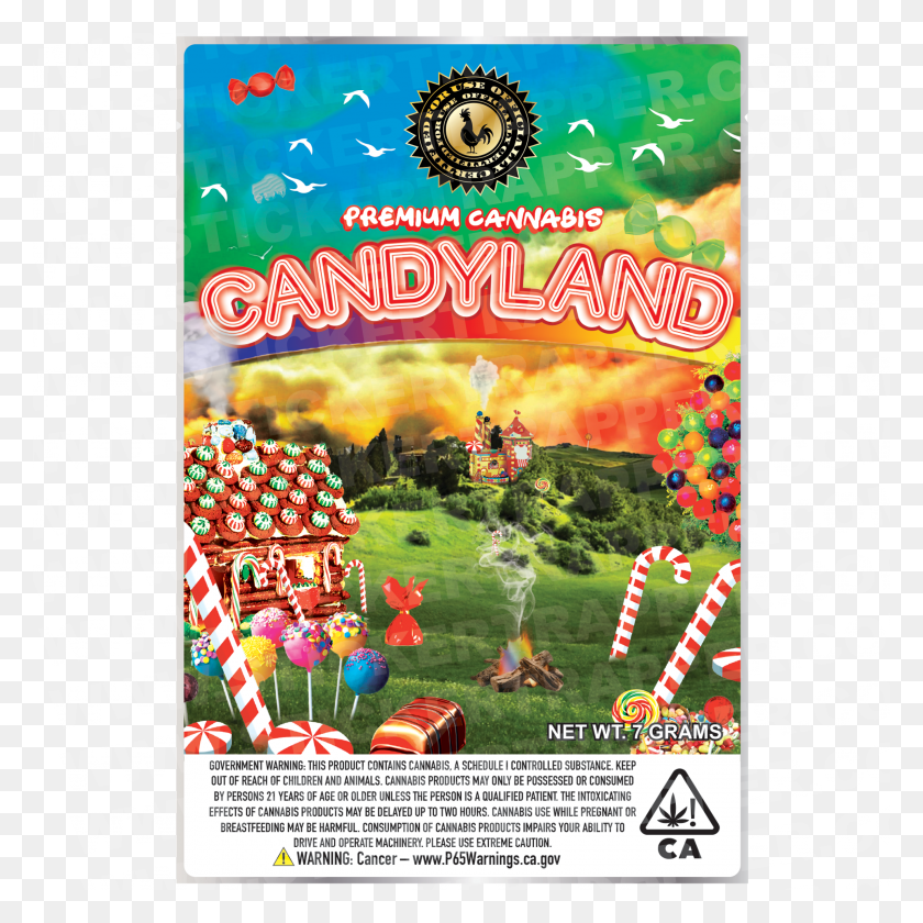 2400x2400 Candyland Colorado Spruce Colorado Spruce, Advertisement, Poster, Flyer Descargar Hd Png