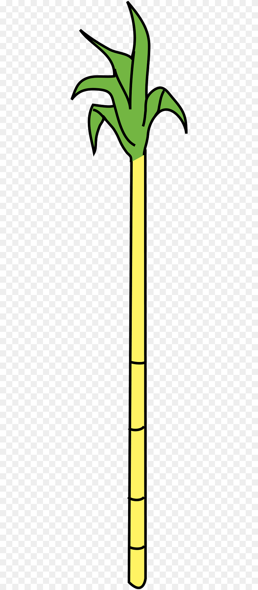 Cane Clipart, Food, Leek, Plant, Produce PNG