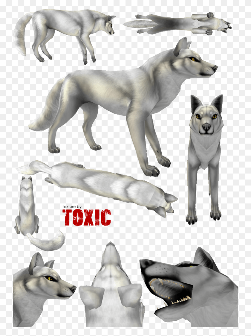 752x1063 Canine Texture Free By Toxic Red Wolf Feral Heart Canine Fur Texture, Mammal, Animal, Dog HD PNG Download