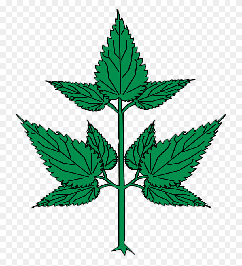 728x864 Cannabis, Leaf, Plant, Bird HD PNG Download