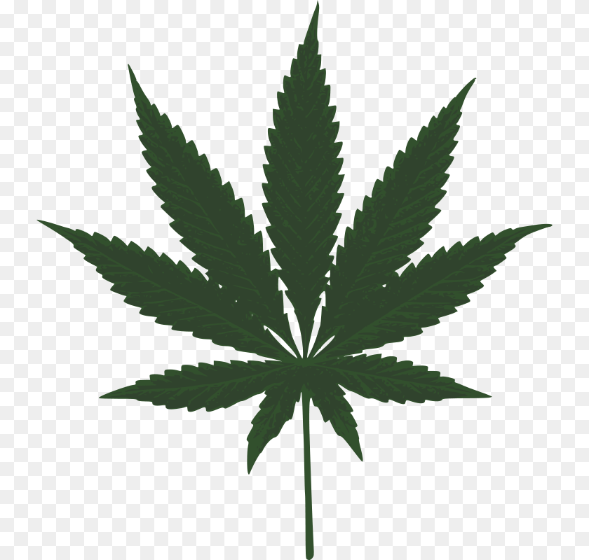 736x800 Cannabis, Leaf, Plant, Weed, Hemp Transparent PNG