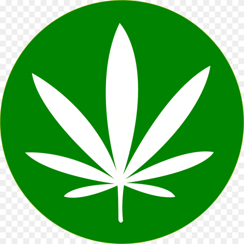 850x850 Cannabis, Leaf, Plant, Herbal, Herbs Clipart PNG