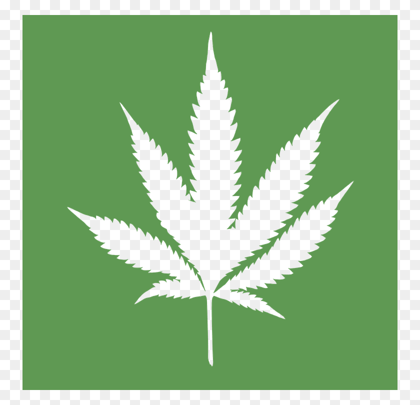 750x750 Cannabis Coupon Codes Pot We Trust, Leaf, Plant, Bird HD PNG Download