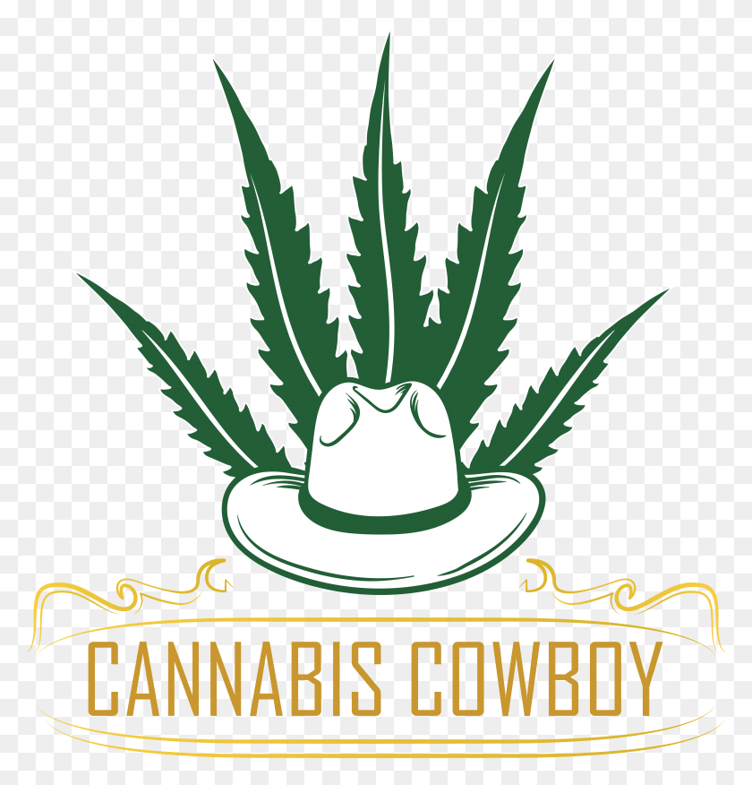 5351x5603 Cannabis Cowboy, Plant, Aloe, Clothing HD PNG Download