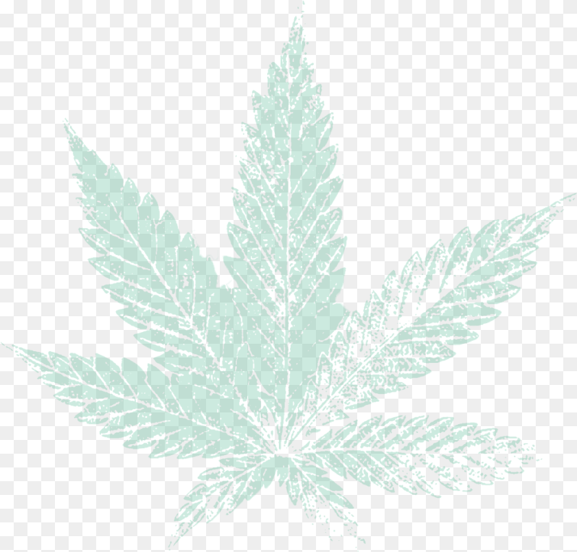 989x946 Cannabis Marijuana Leaf, Plant, Weed PNG