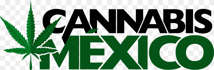 2058x676 Cannabis Mexico Graphic Design, Green, Plant, Weed, Vegetation PNG
