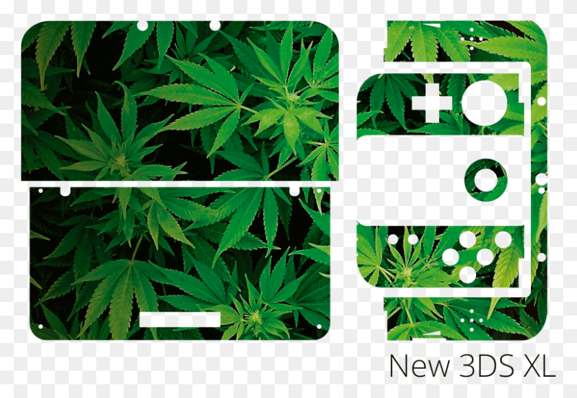 800x534 Cannabis Plant Nintendo Sticker Weed, Leaf, Green, Vegetation HD PNG Download