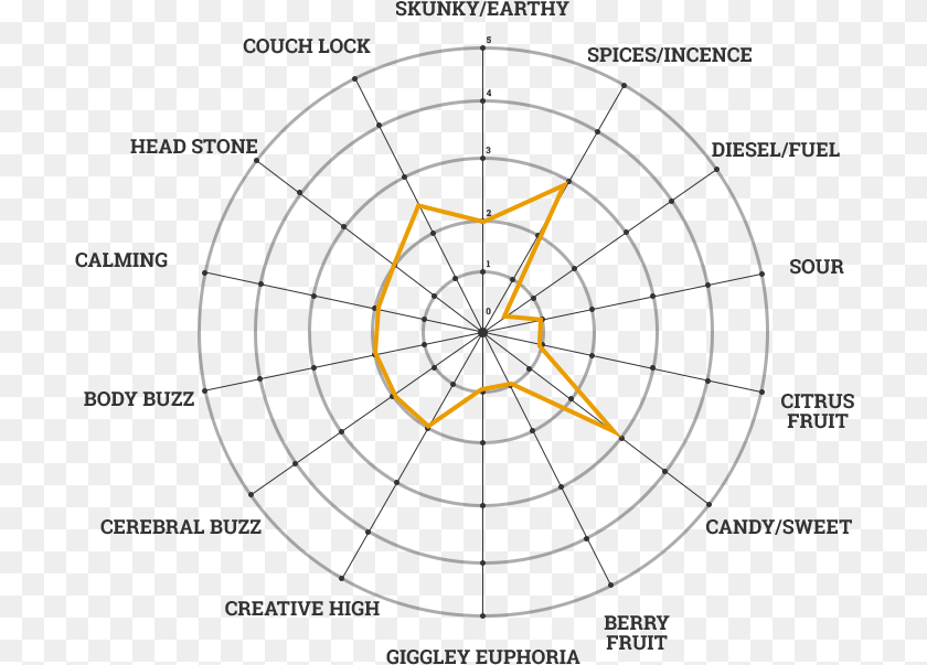 Cannabis Strain Taste Profiles Msnl, Nature, Night, Outdoors, Chandelier PNG