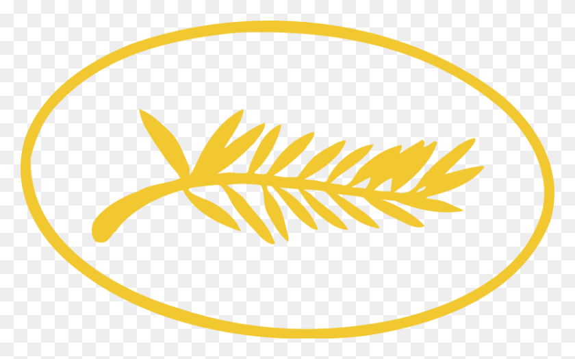 800x476 Cannes Film Festival Logo Vector Logo Festival De Cannes, Leaf, Plant, Symbol HD PNG Download