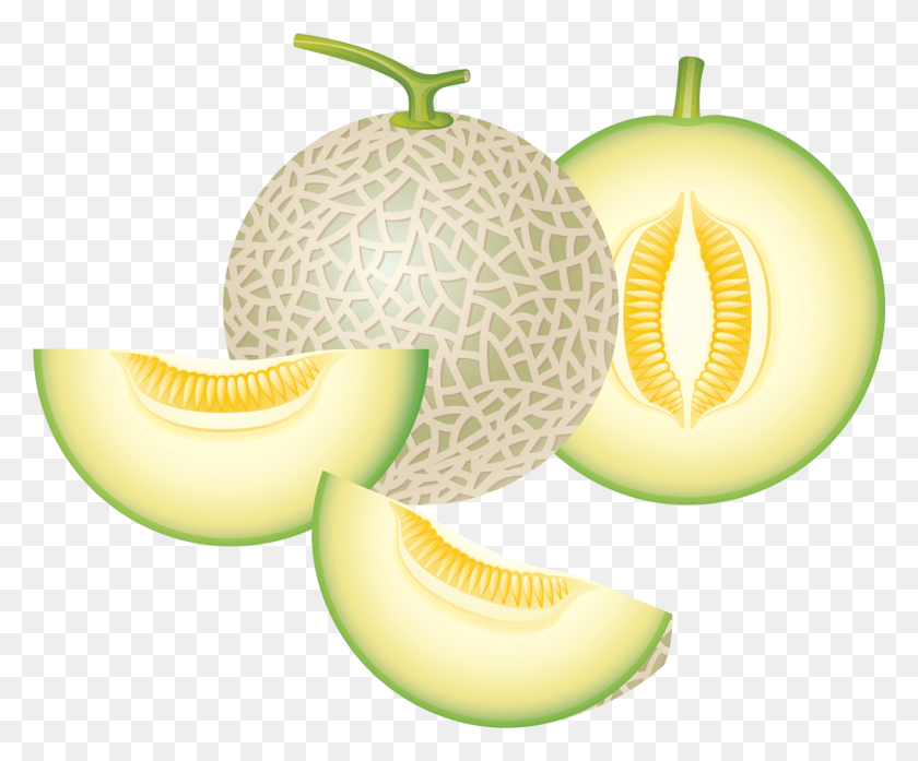 1601x1309 Cantaloupe Clipart Telugu Honeydew Melon Clipart, Fruit, Plant, Food HD PNG Download